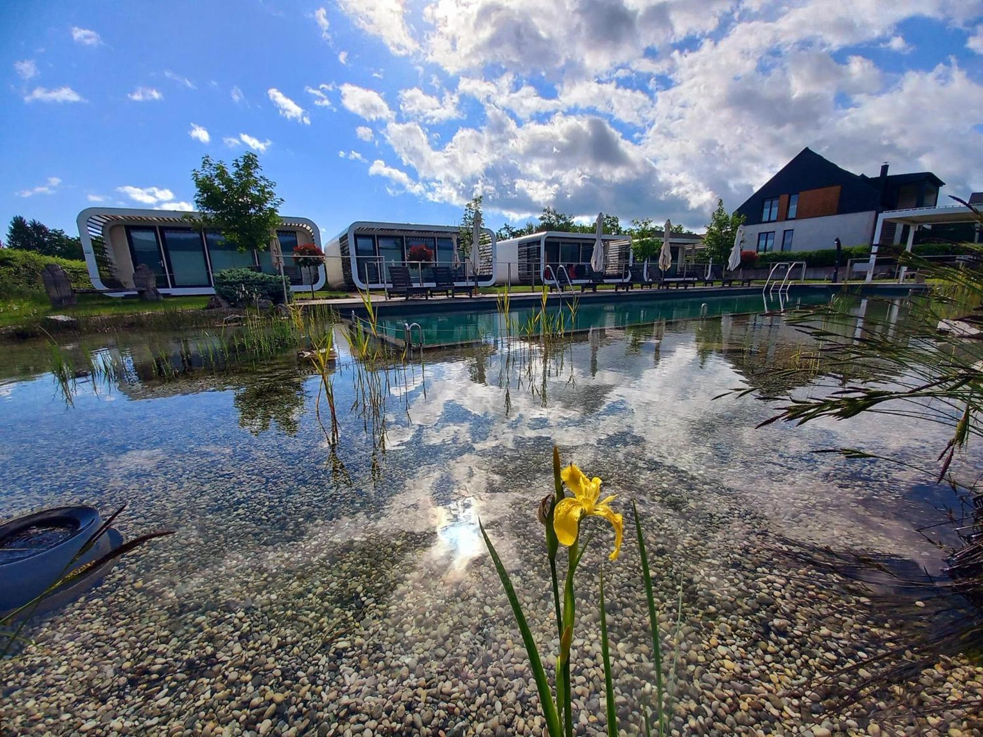Glamping Maleric With Natural Pool Dragatuš Exteriér fotografie